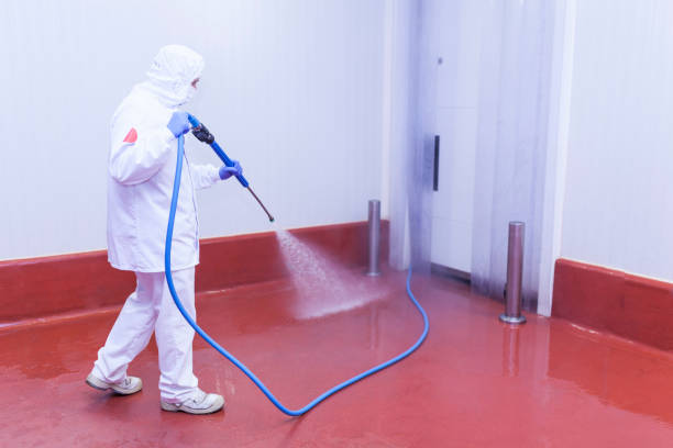 Best Sidewalk and Walkway Cleaning  in Hillburn, NY